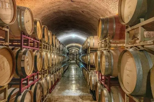 Wet floor in a barrel aging room at a winery near Lodi